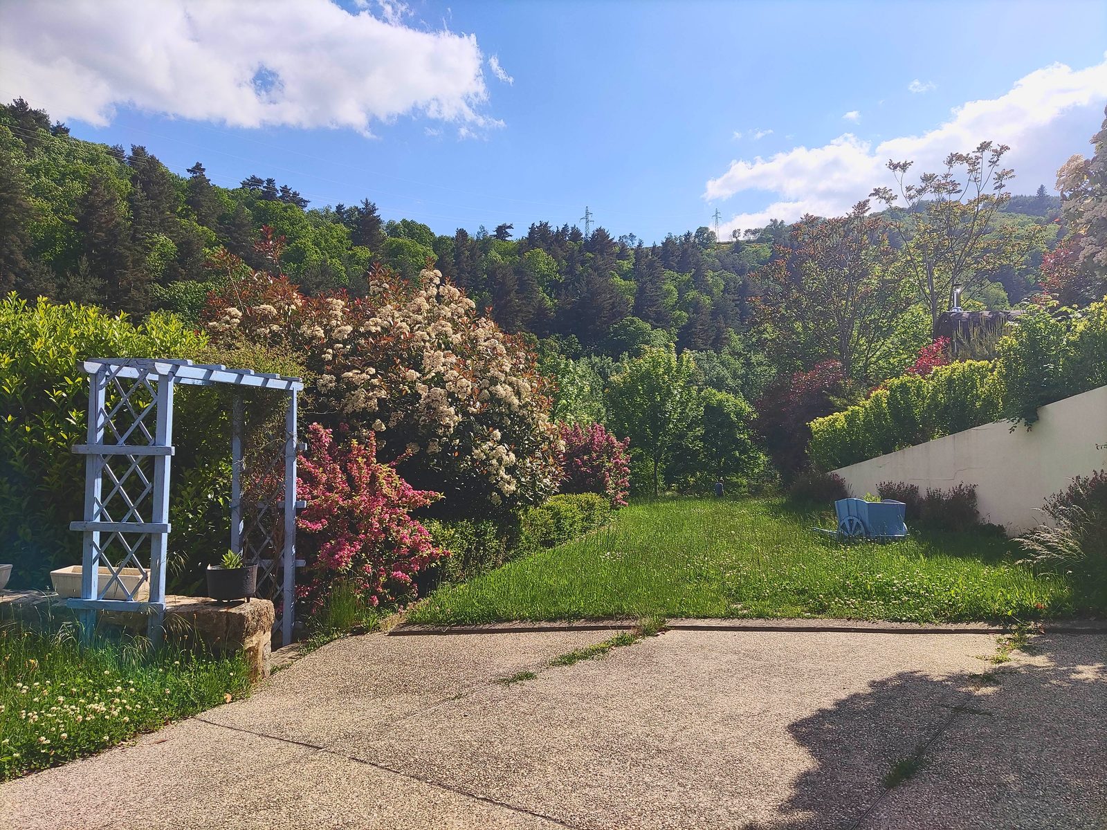 Le jardin fleuri avec sa pergola bleue